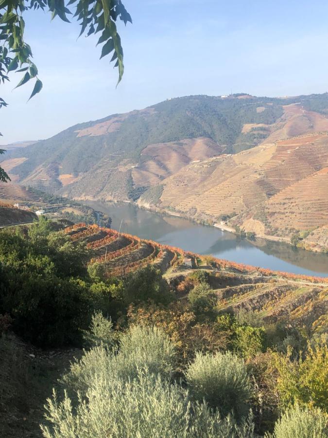 Вилла Castas Do Douro Табуасу Экстерьер фото